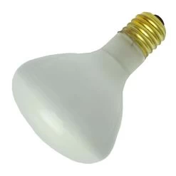 Philips Incandescent Light Bulb (144352)