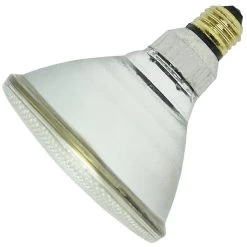 Philips Incandescent Light Bulb (145516)