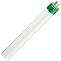 Philips Fluorescent Light Bulb (290239)