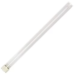 Philips Compact Fluorescent Light Bulb (294645)
