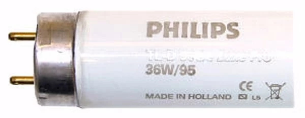 Philips Fluorescent Light Bulb (36099) - Image 3