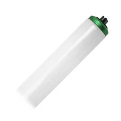 Philips Fluorescent Light Bulb (381774)