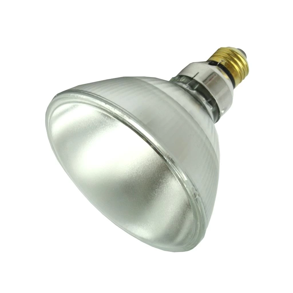 Philips Halogen Incandescent Light Bulb (419432)