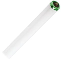 Philips Fluorescent Light Bulb (423194)