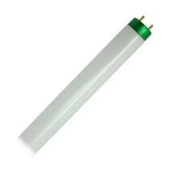 Philips Fluorescent Light Bulb (479626)