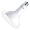 Philips LED Reflector Flood Retrofit (577866)