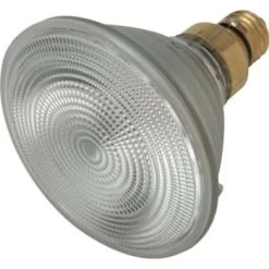 Philips® 53w Par38 Halogen Flood Bulb