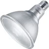 Philips LED Flood Light Bulb (529537)