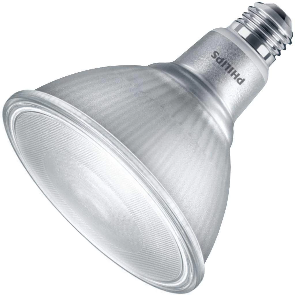 Philips LED Flood Light Bulb (529537)
