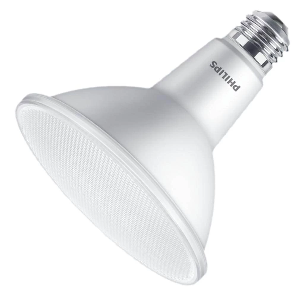 Philips LED Light Bulb (551895)