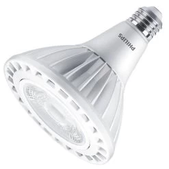 Philips LED Light Bulb (569731)