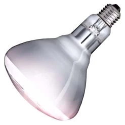 Philips Incandescent Light Bulb (575227)