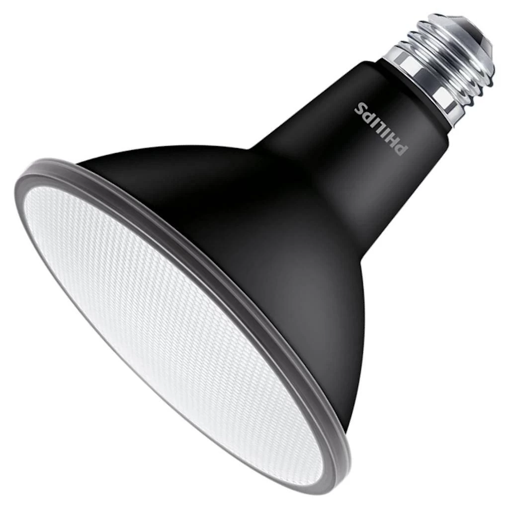 Philips LED Light Bulb (576470)