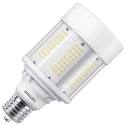 Philips LED Light Bulb (579011)