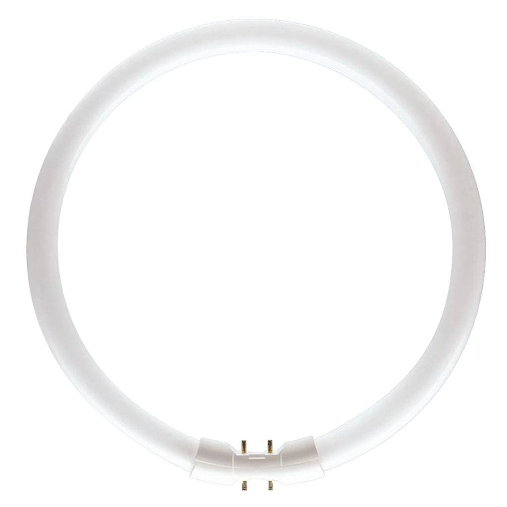 Philips Fluorescent Light Bulb (642790)