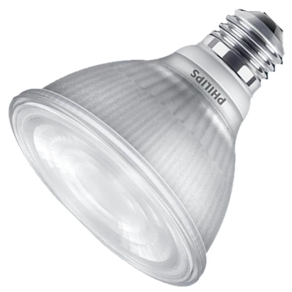 Philips LED Reflector Flood Retrofit (756802)