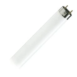 Philips Fluorescent Light Bulb (63207)