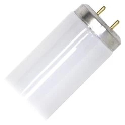 Philips Fluorescent Light Bulb (141507)