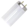 Philips Fluorescent Light Bulb (421545)