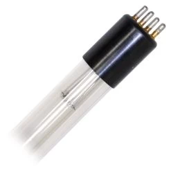 Philips Fluorescent Light Bulb (362178)