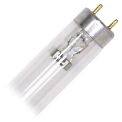 Philips Fluorescent Light Bulb (290908)