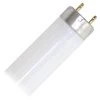 Philips Fluorescent Light Bulb (280784)