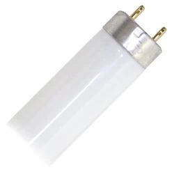Philips Fluorescent Light Bulb (281485)